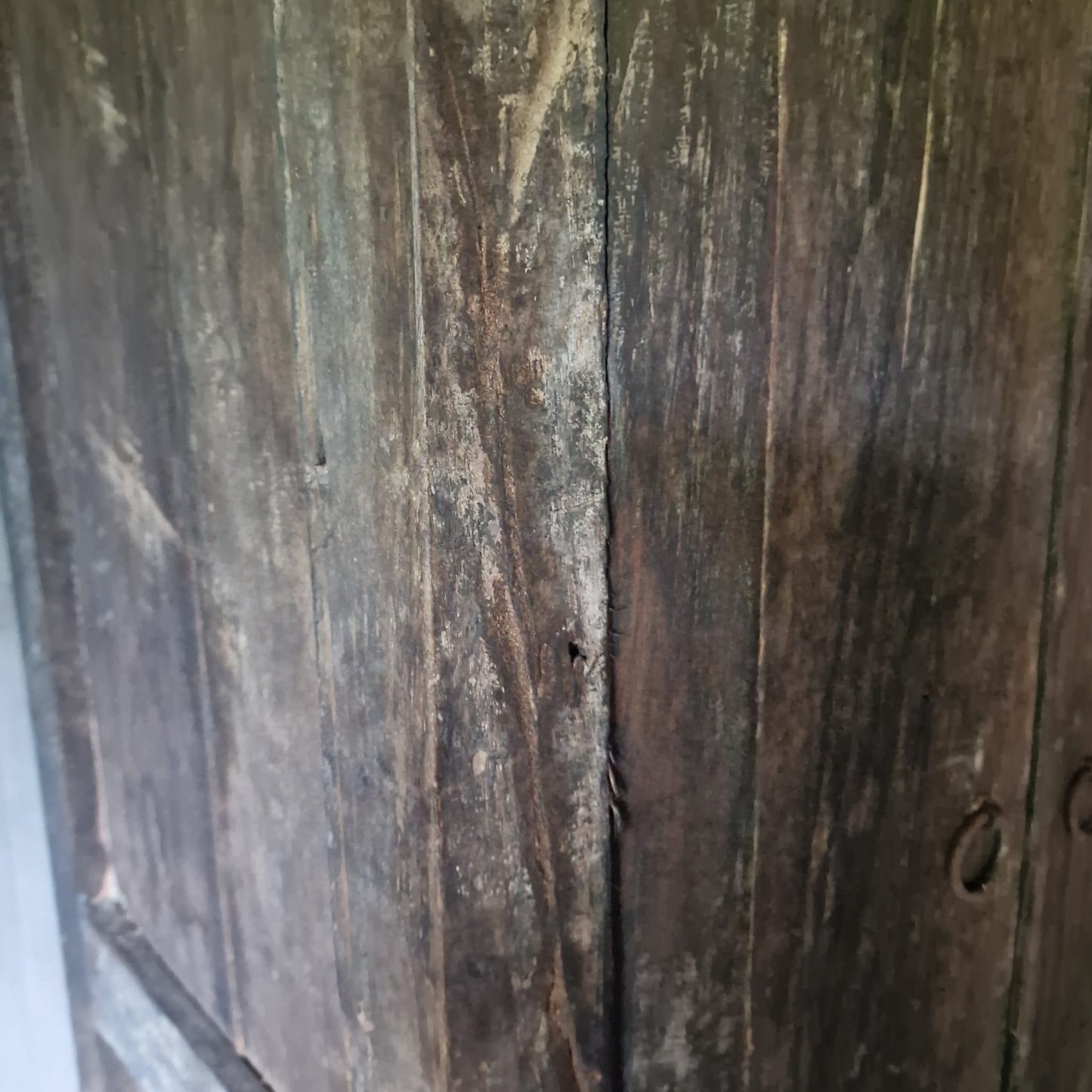 Kast van Driftwood