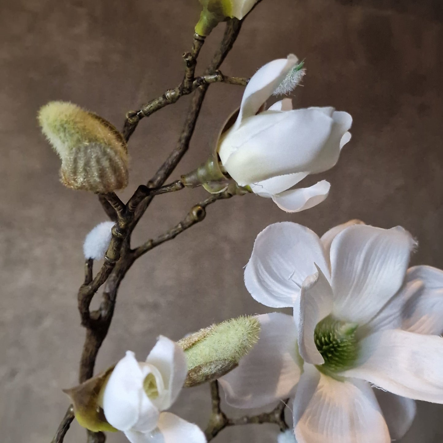 Kunsttak Magnolia in Bloei