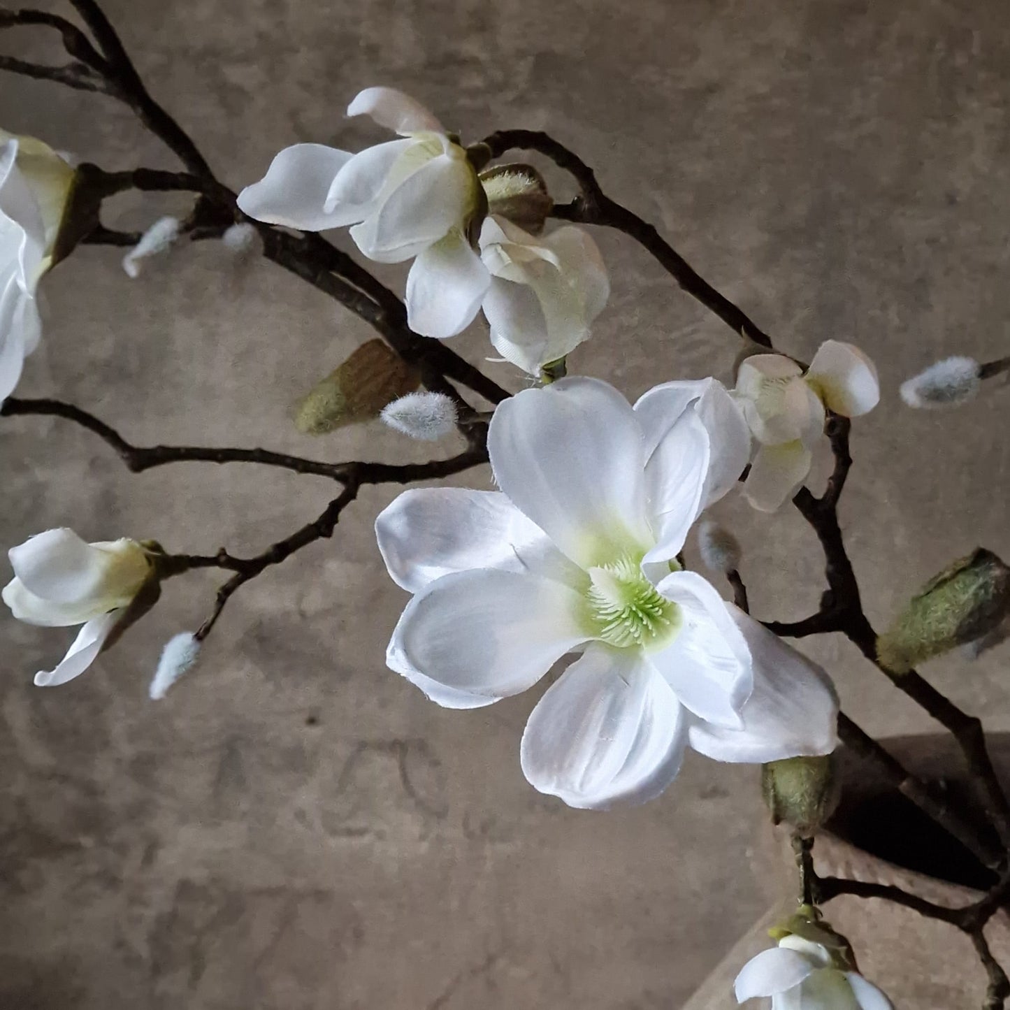 Kunsttak Magnolia in Bloei