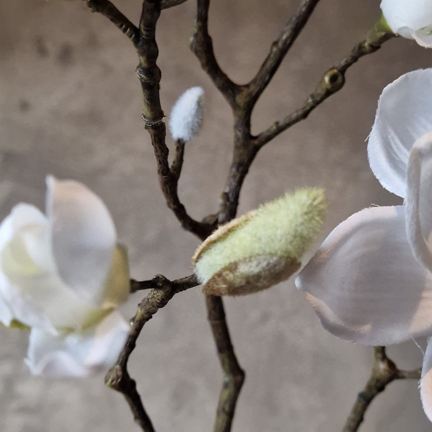 Kunsttak Magnolia in Bloei