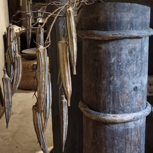 Kunsttak Abelmoschus Esculentus