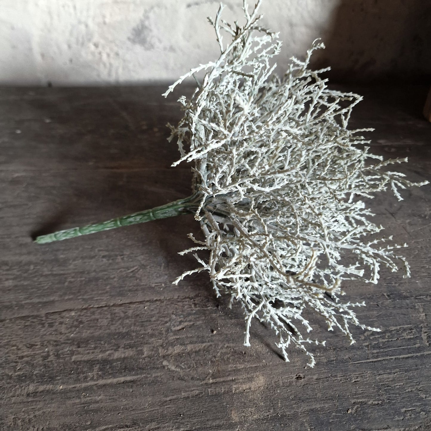 Zilverstruikje Kunst