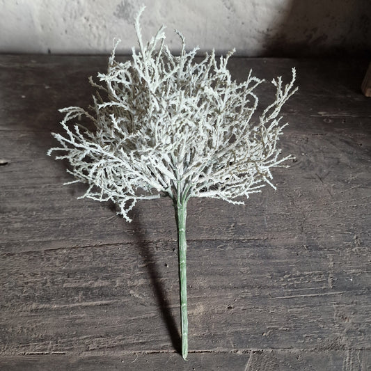 Zilverstruikje Kunst