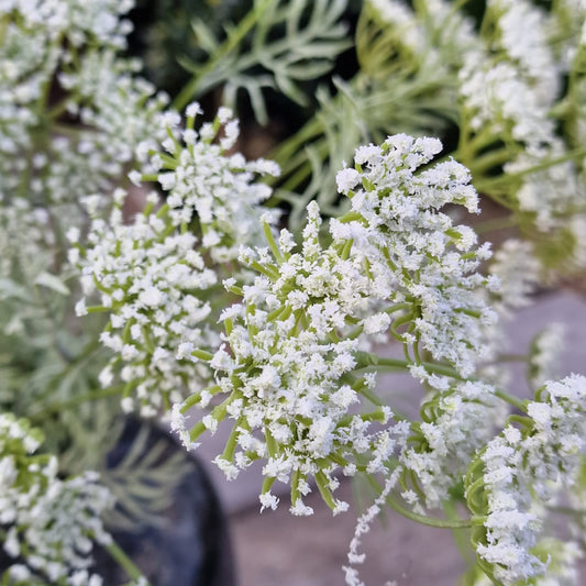 Fluitekruid Boeket