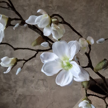 Kunsttak Magnolia in Bloei