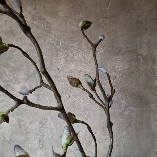 Kunsttak Magnolia in Knop