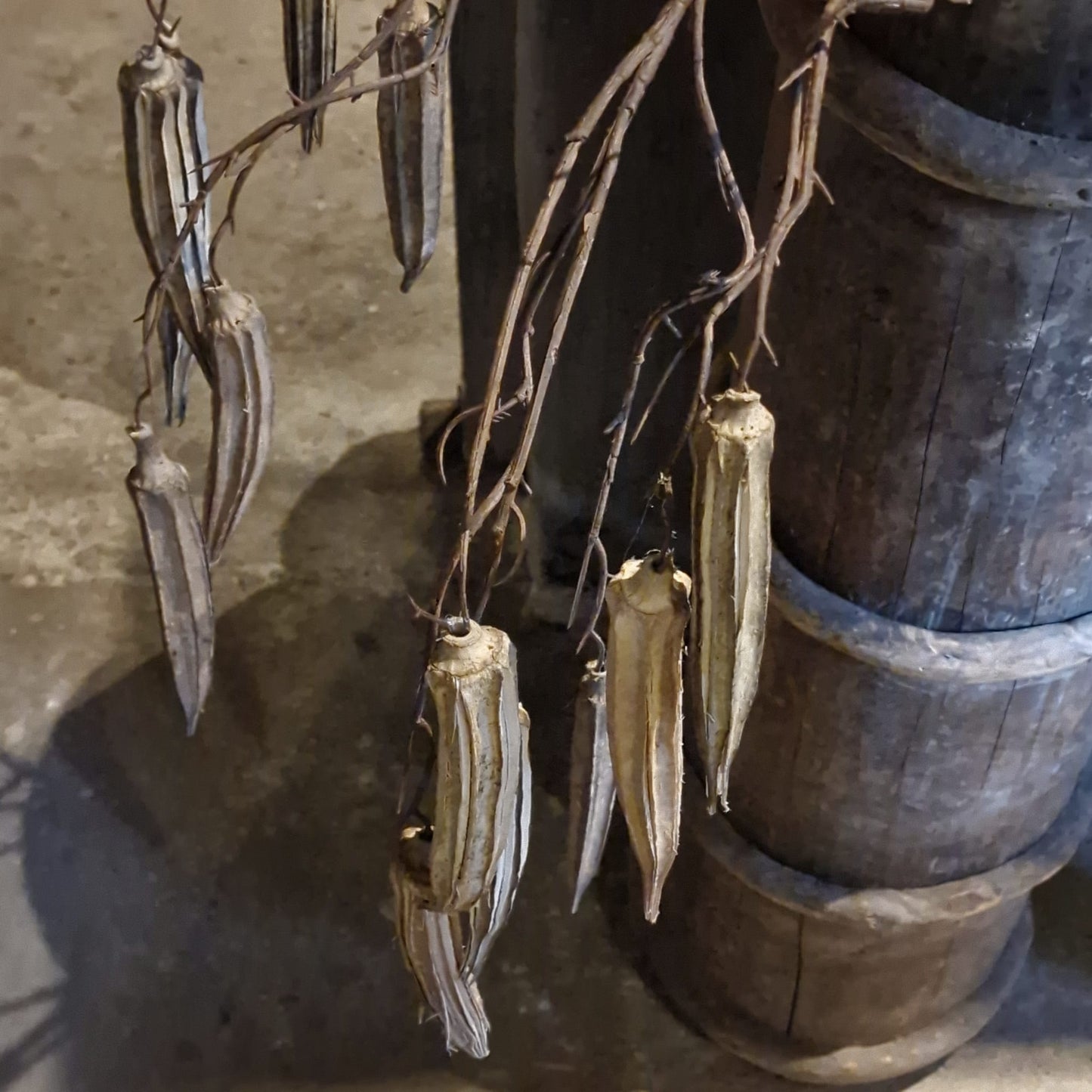 Kunsttak Abelmoschus Esculentus