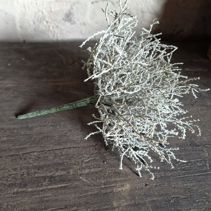 Zilverstruikje Kunst