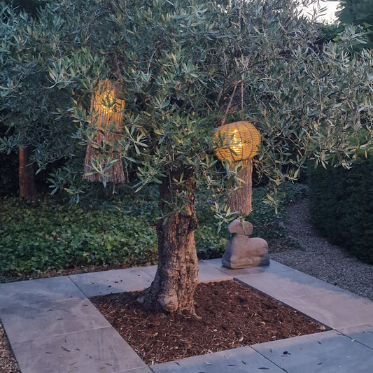 Hanglamp Solar Led bol