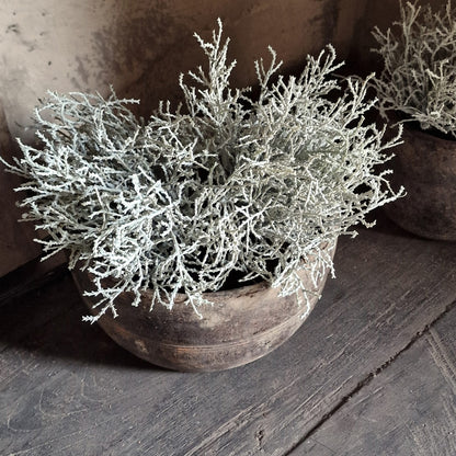 Zilverstruikje Kunst
