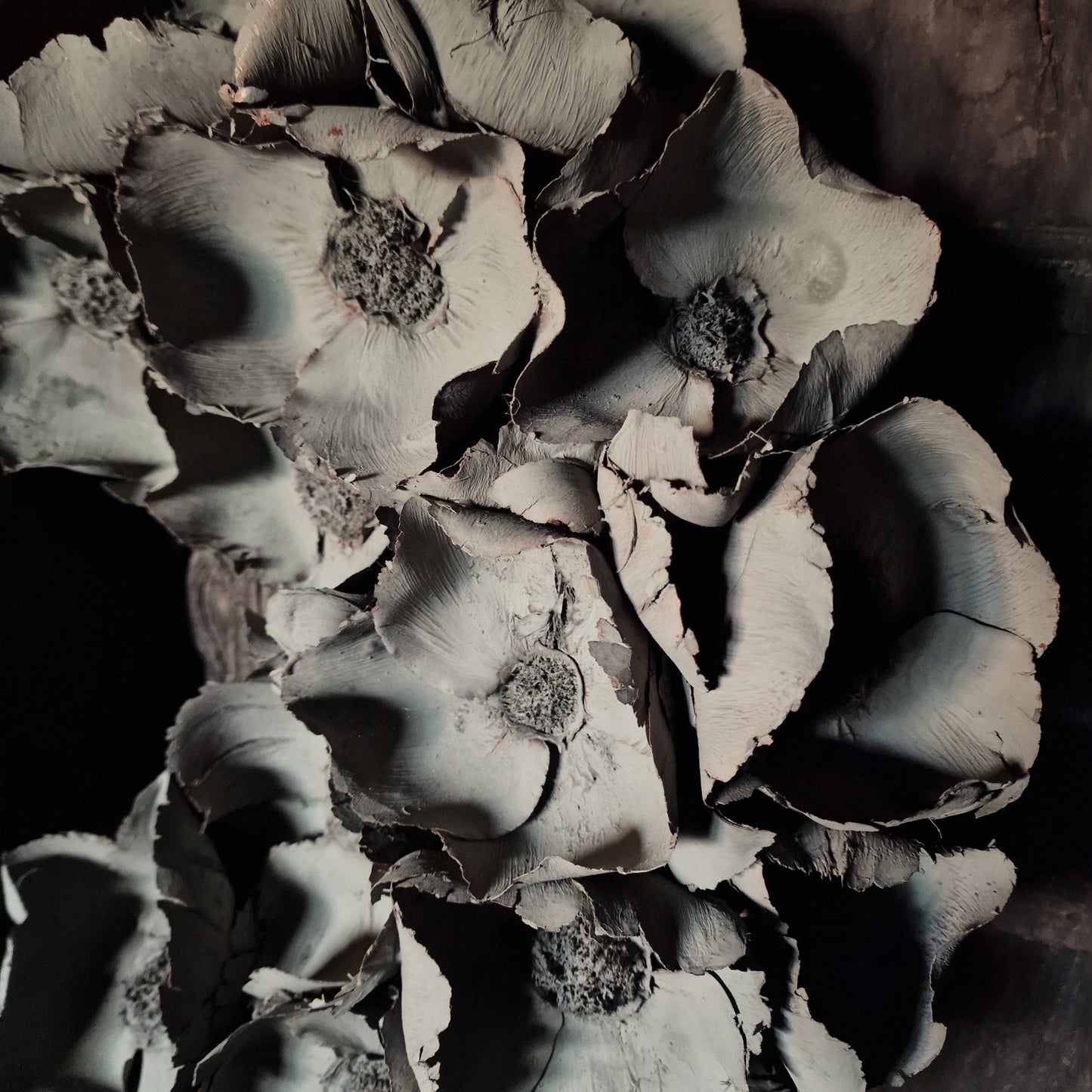 Palm Cup Krans Old Green