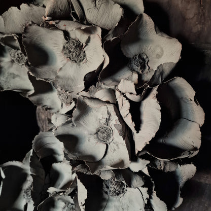 Palm Cup Krans Old Green